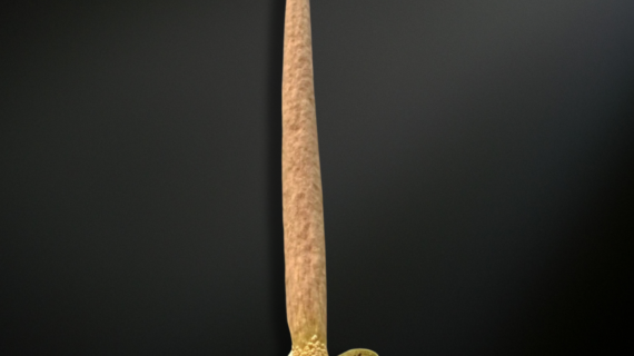 Amorphophallus variabilis — The Ever-Changing Jewel of the Javan Forest